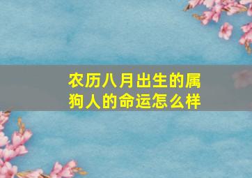 农历八月出生的属狗人的命运怎么样