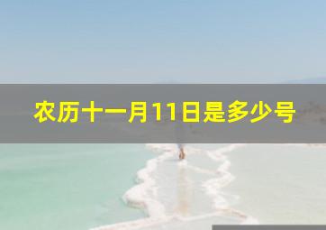 农历十一月11日是多少号