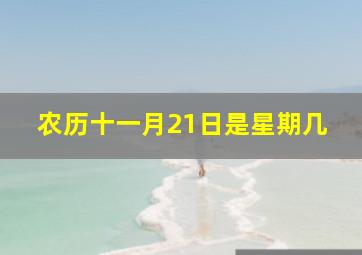 农历十一月21日是星期几