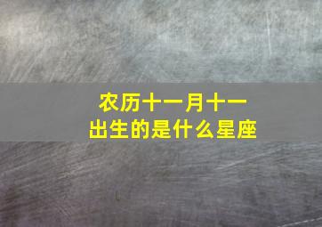 农历十一月十一出生的是什么星座