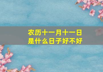 农历十一月十一日是什么日子好不好