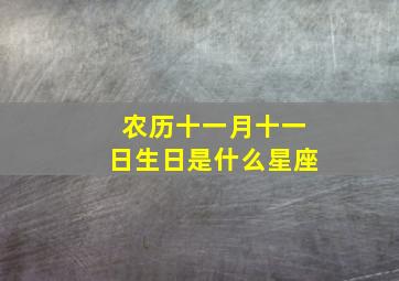 农历十一月十一日生日是什么星座