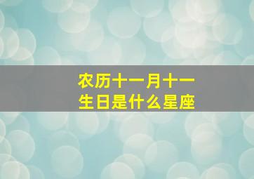 农历十一月十一生日是什么星座