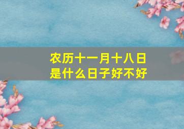 农历十一月十八日是什么日子好不好