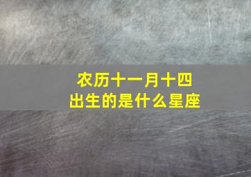 农历十一月十四出生的是什么星座