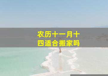 农历十一月十四适合搬家吗