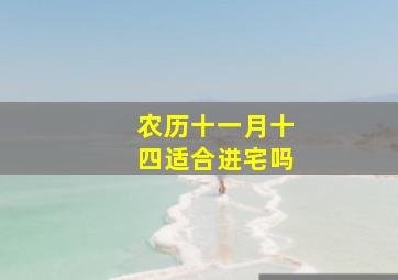 农历十一月十四适合进宅吗