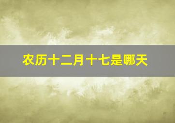 农历十二月十七是哪天