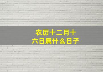 农历十二月十六日属什么日子