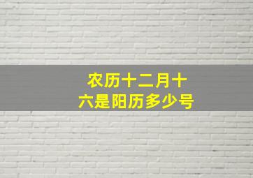 农历十二月十六是阳历多少号