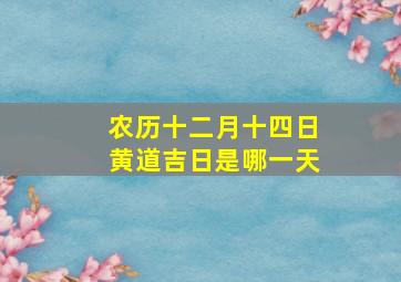 农历十二月十四日黄道吉日是哪一天