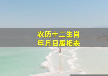 农历十二生肖年月日属相表