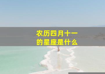 农历四月十一的星座是什么