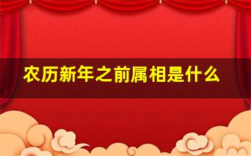 农历新年之前属相是什么