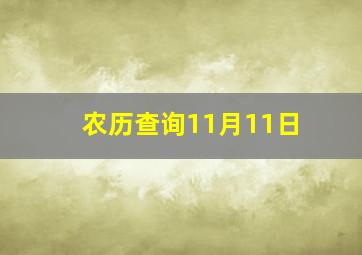 农历查询11月11日