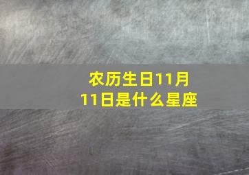 农历生日11月11日是什么星座