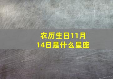 农历生日11月14日是什么星座