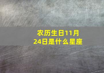 农历生日11月24日是什么星座