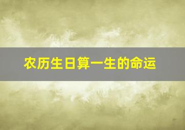 农历生日算一生的命运