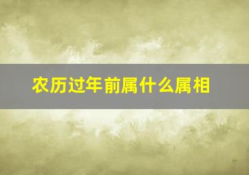 农历过年前属什么属相