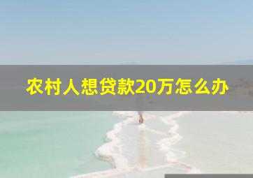 农村人想贷款20万怎么办