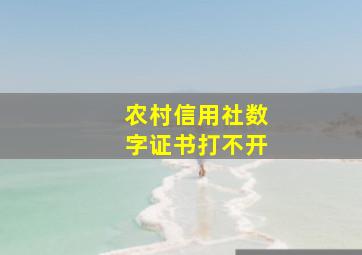 农村信用社数字证书打不开