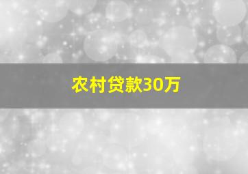 农村贷款30万