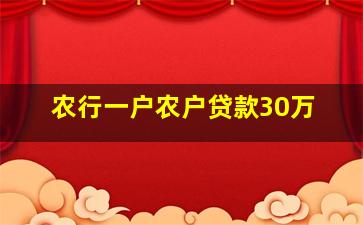 农行一户农户贷款30万