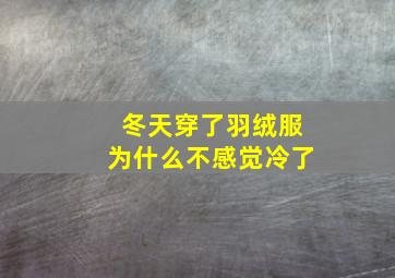 冬天穿了羽绒服为什么不感觉冷了