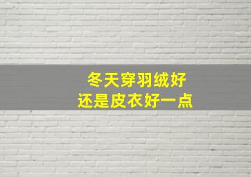 冬天穿羽绒好还是皮衣好一点