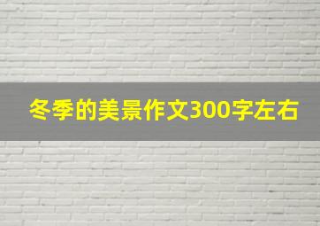 冬季的美景作文300字左右