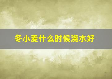 冬小麦什么时候浇水好