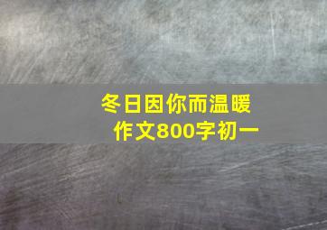 冬日因你而温暖作文800字初一