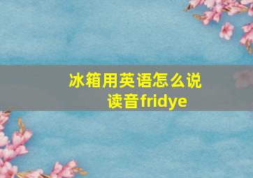 冰箱用英语怎么说读音fridye