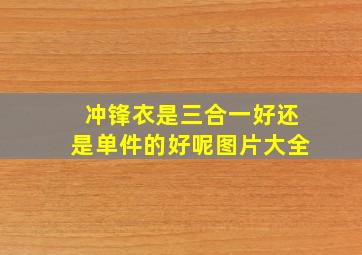 冲锋衣是三合一好还是单件的好呢图片大全