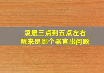 凌晨三点到五点左右醒来是哪个器官出问题