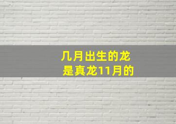 几月出生的龙是真龙11月的