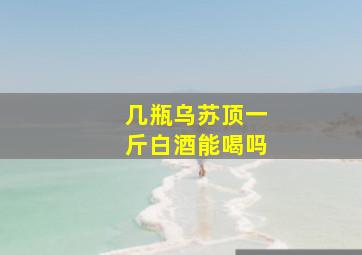 几瓶乌苏顶一斤白酒能喝吗