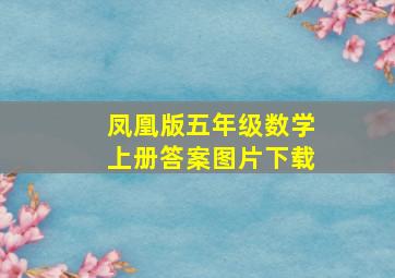 凤凰版五年级数学上册答案图片下载