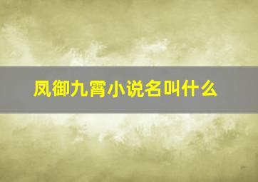 凤御九霄小说名叫什么