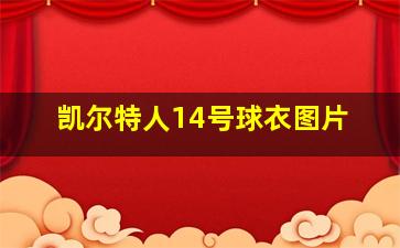 凯尔特人14号球衣图片