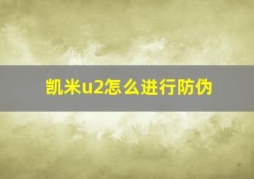 凯米u2怎么进行防伪