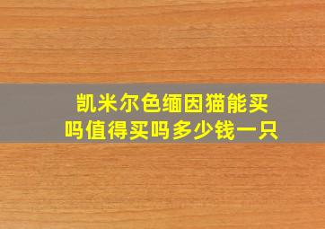 凯米尔色缅因猫能买吗值得买吗多少钱一只