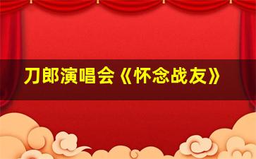 刀郎演唱会《怀念战友》