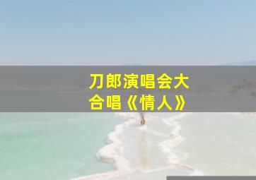 刀郎演唱会大合唱《情人》