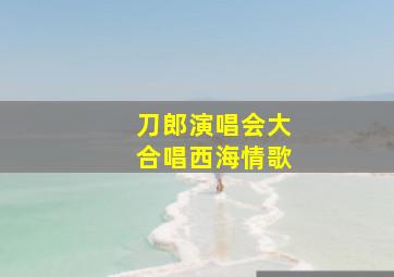 刀郎演唱会大合唱西海情歌