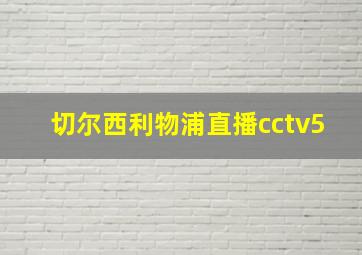 切尔西利物浦直播cctv5