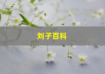 刘子百科