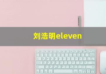 刘浩明eleven