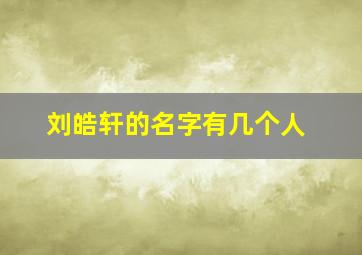 刘皓轩的名字有几个人